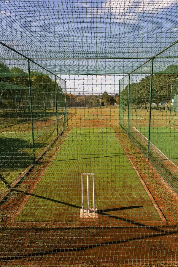 Cricket Pitch