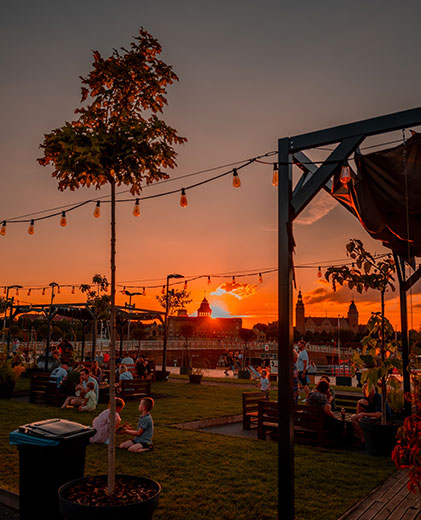 Party Lawn With Community Pavilions