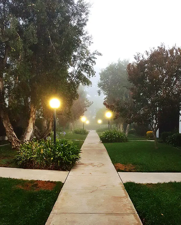 pathway light